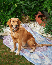 Load image into Gallery viewer, UNDERSEA